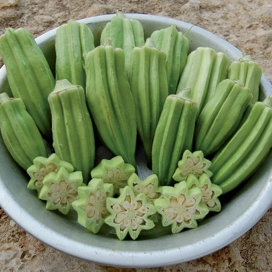 200+ Okra Seeds – Star Of David ——— Old World Variety