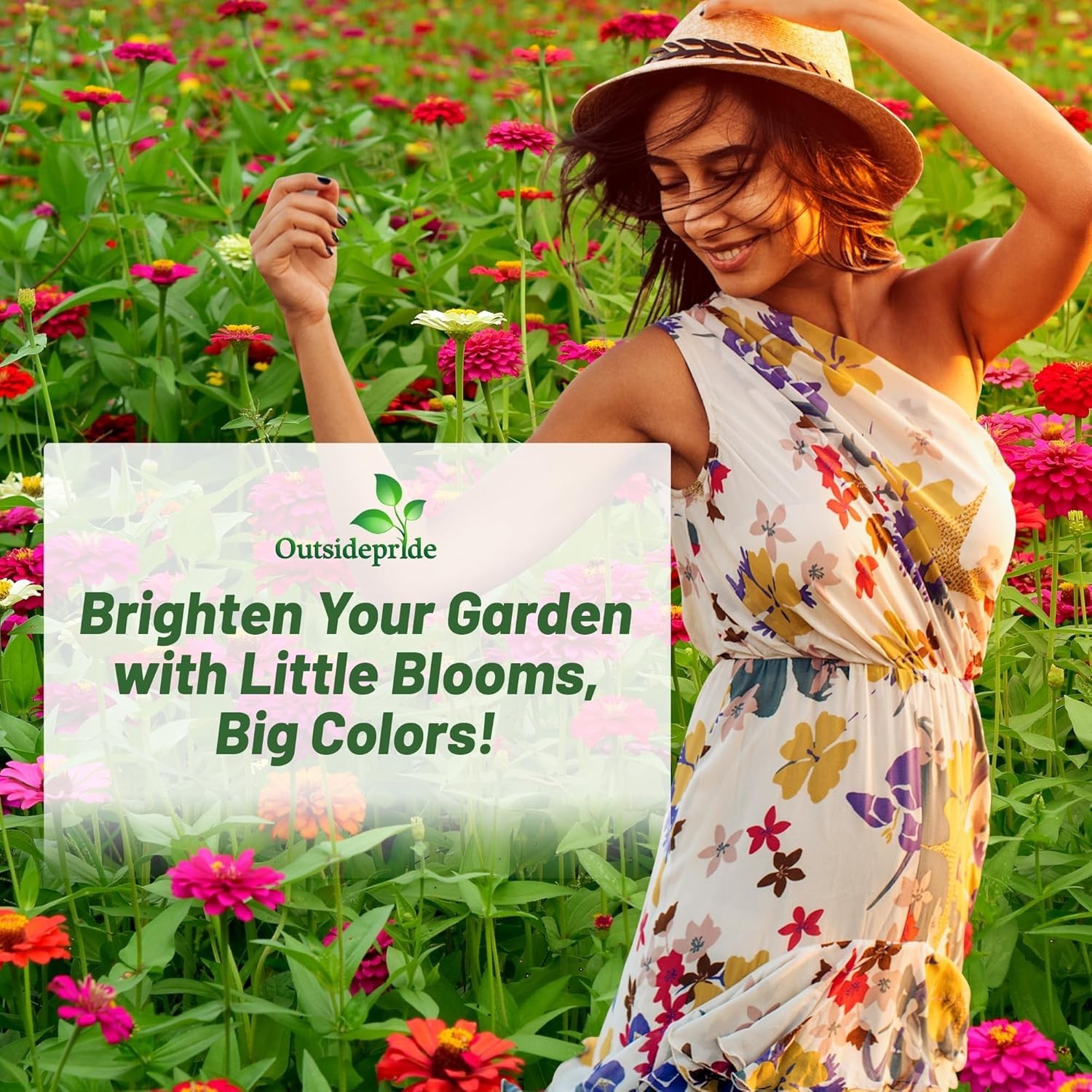 Hardy Annual Zinnia Seeds – 1000 Pcs Lilliput Mix for Stunning Outdoor Displays