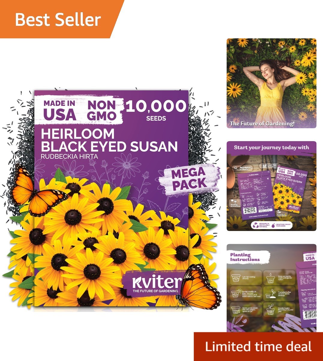 Wildflower Seed Pack Black Eyed Susan for Summer Blooming Gardens