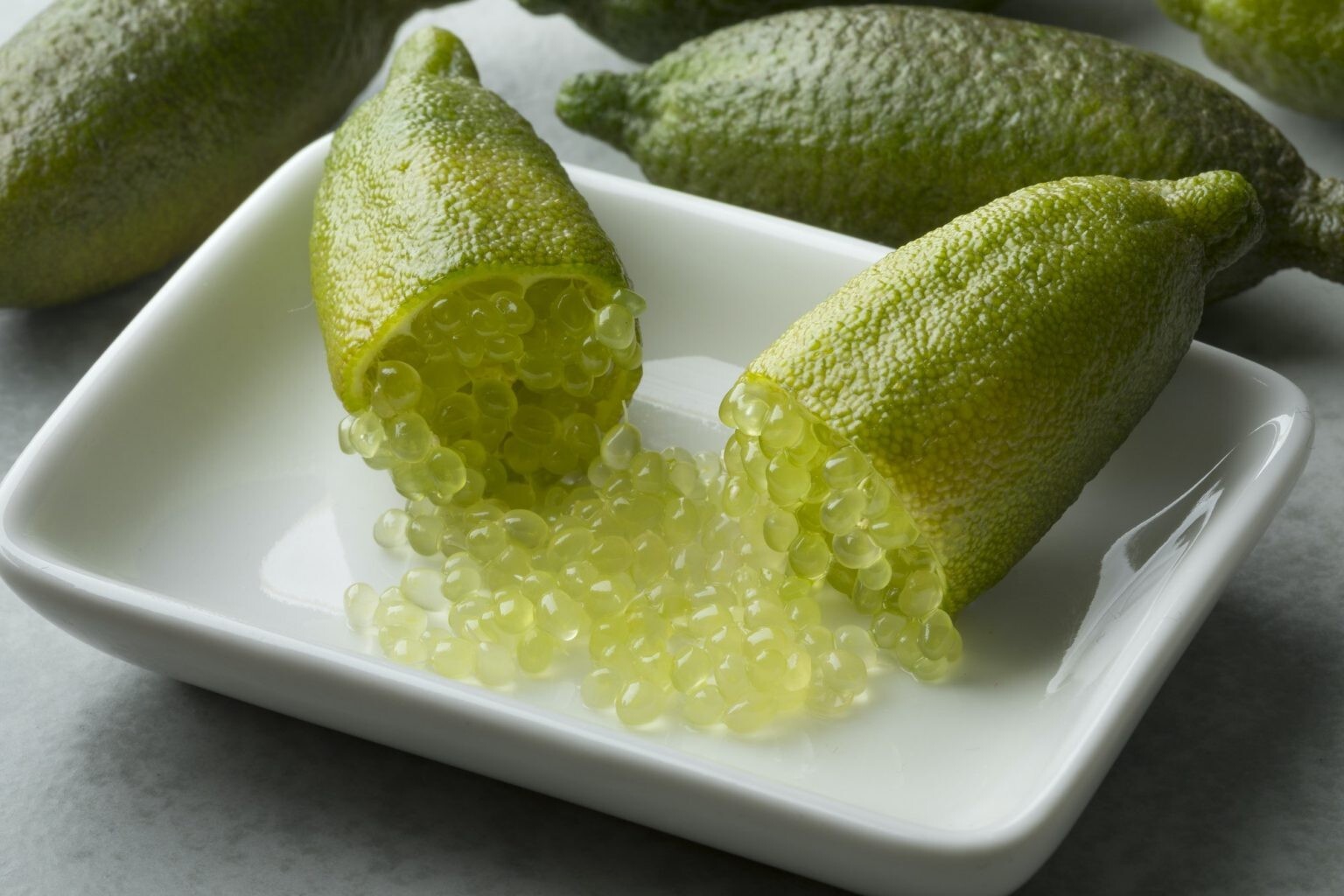 Rare Yellow Australian Finger Lime- 3 cuttings , no roots