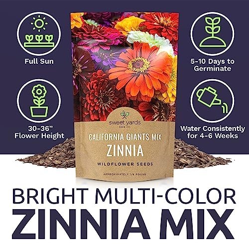 Bulk Zinnia Seeds – California Giants Mix – 1/4 lb Bag, 12,000+ Colorful Flower