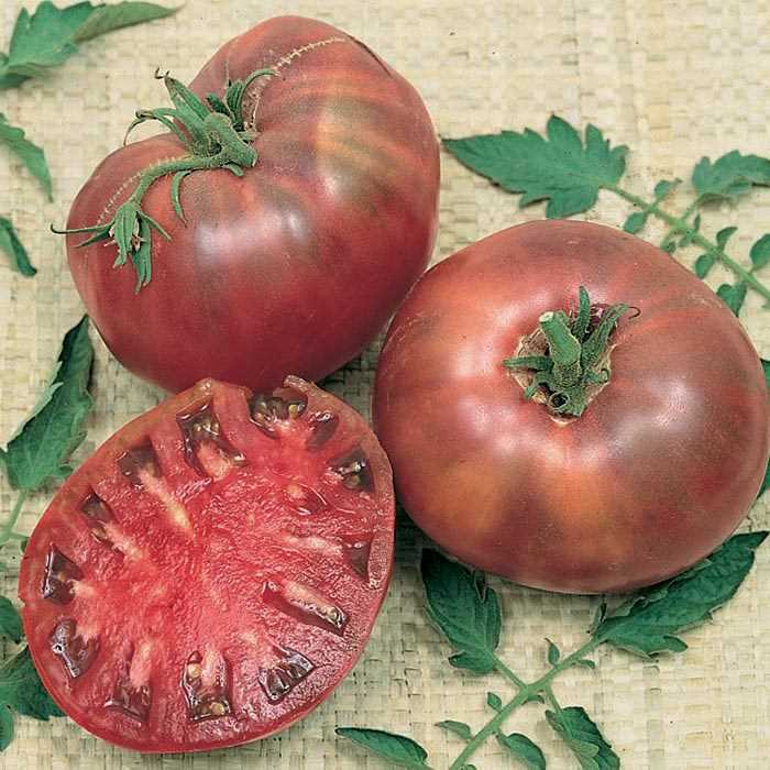51+CHEROKEE PURPLE TOMATO Seeds Organic Native Heirloom Summer Garden Container
