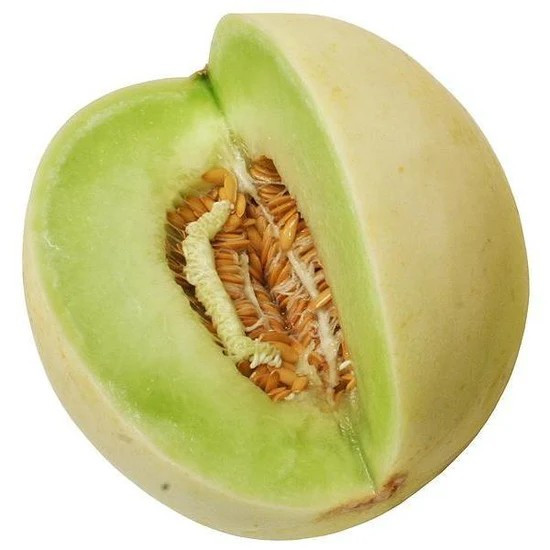 50+ Green Flesh Honeydew Seeds — Winter Melon — Heirloom — NON GMO