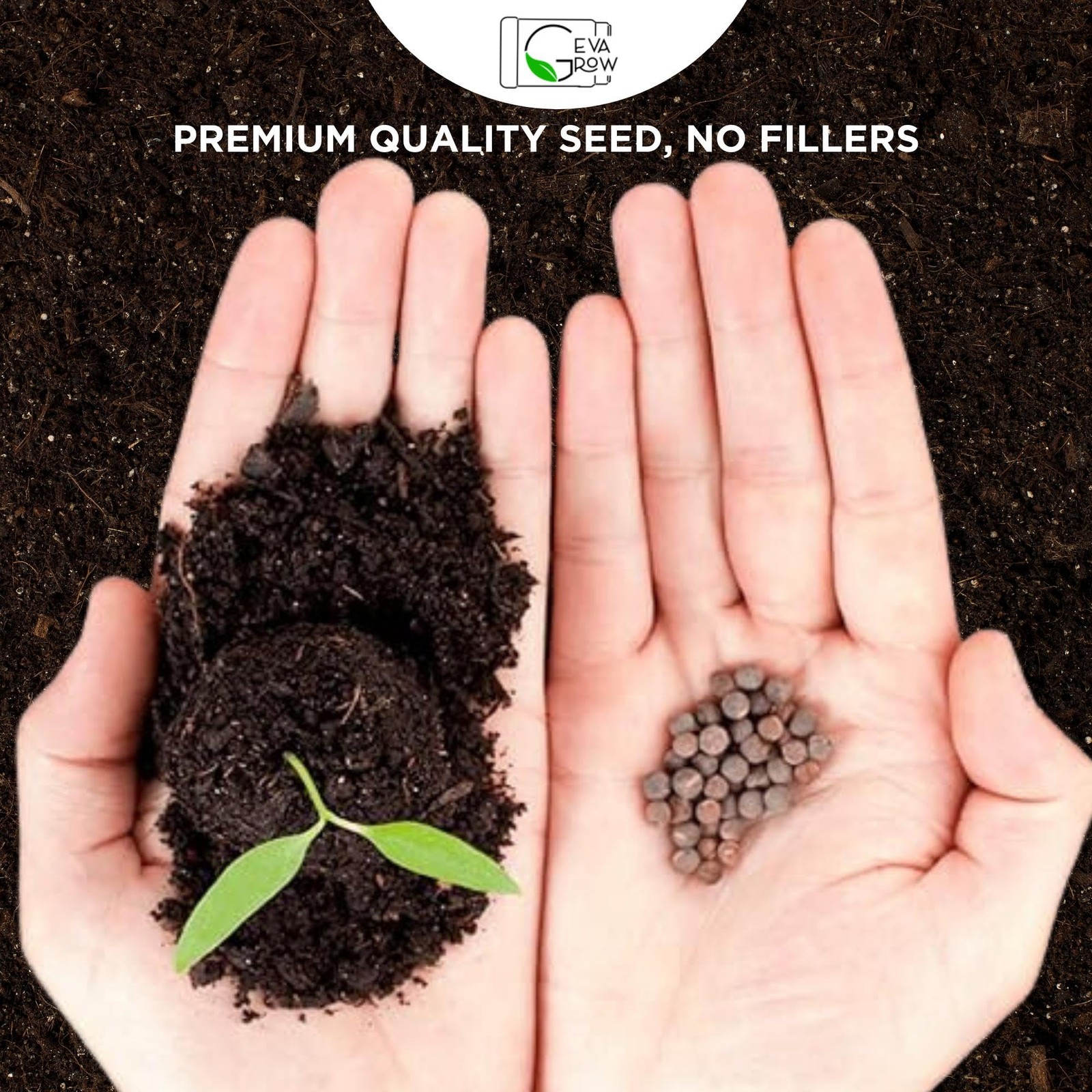 Regional Wildflower – Northeast USA Wildflowers – 100% Pure – Organic, Non-GM…