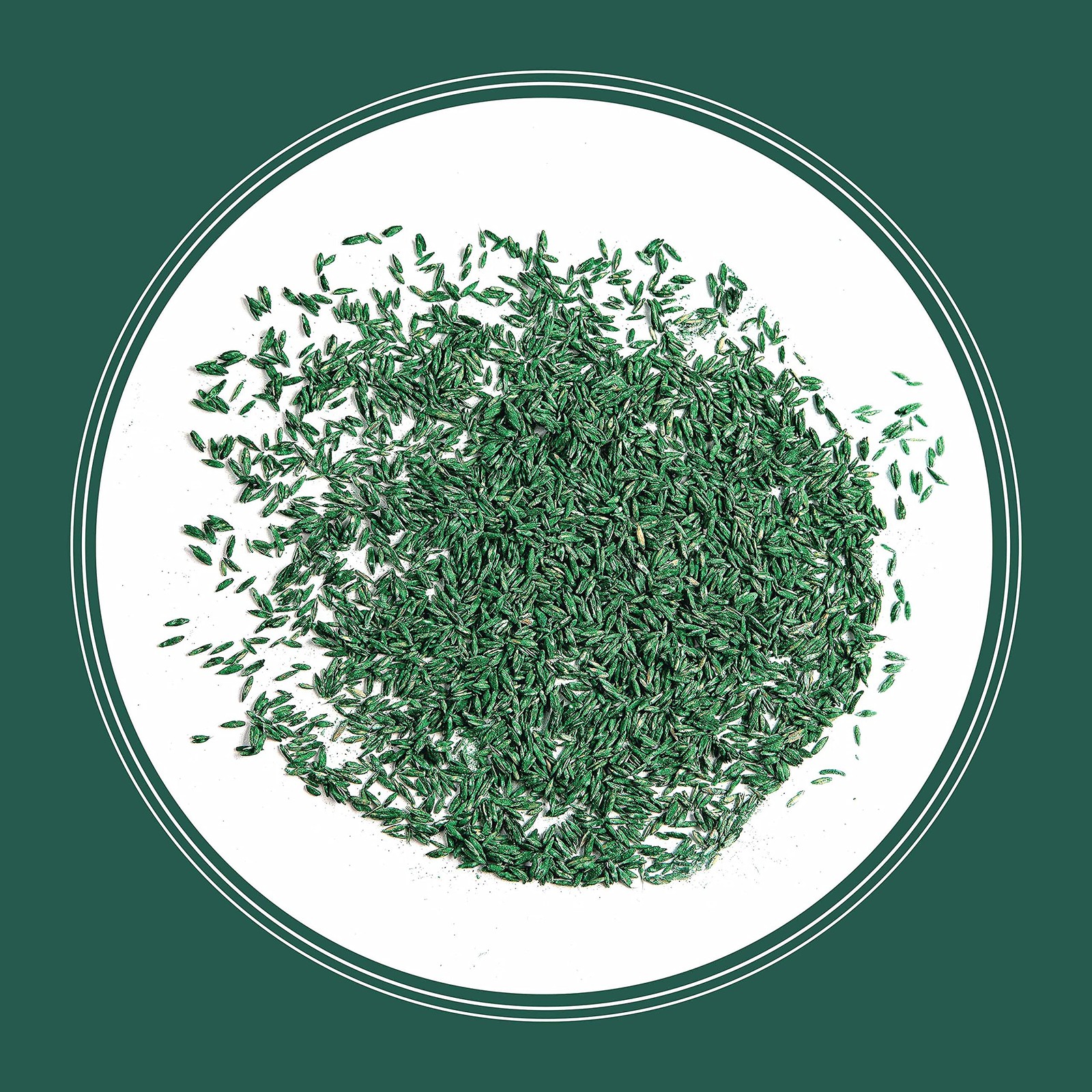 Smart Seed Sun and Shade Tall Fescue Grass Seed Mix for Southern Lawns 7 lb