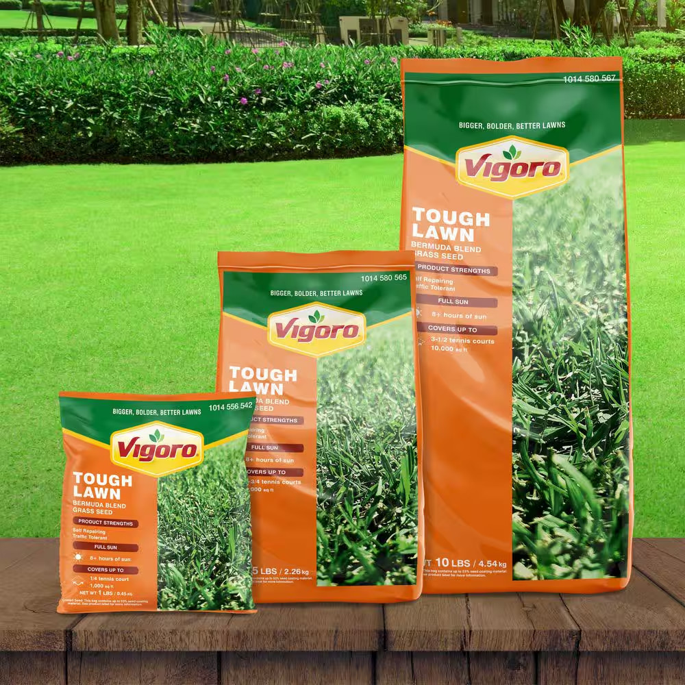 10 Lbs. 10,000 Sq. Ft. Tough Lawn Bermuda Blend Grass Seed