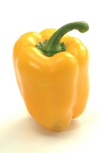 Golden Cal Wonder Pepper Seeds Box Garden Seeds Heirloom GMO Free USA
