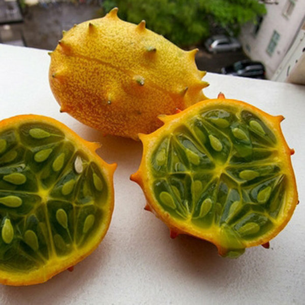 20 kiwano seeds