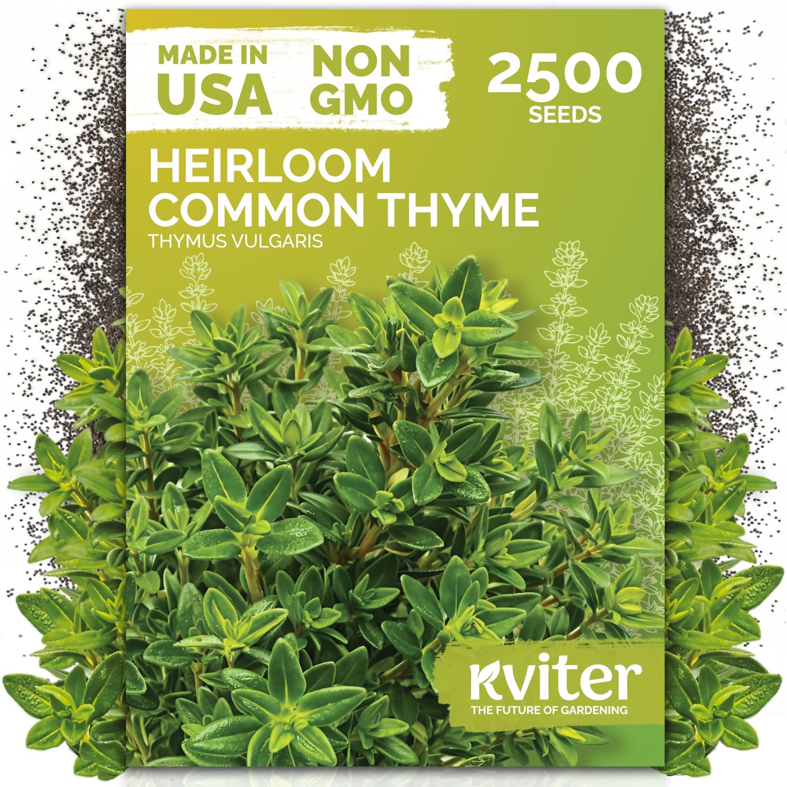 KVITER 2500 Common Thyme Seeds (Thymus Vulgaris)