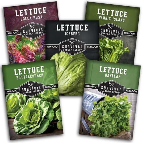 Lettuce Seeds 5-Variety Collection – Heirloom Romaine (Parris Island),