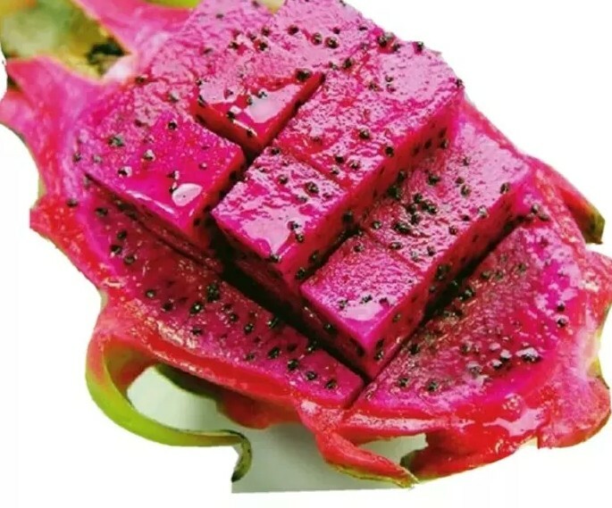 USA SELLER Purple Dragon Fruit seeds (30 seeds) fresh this season’s harvest 2021