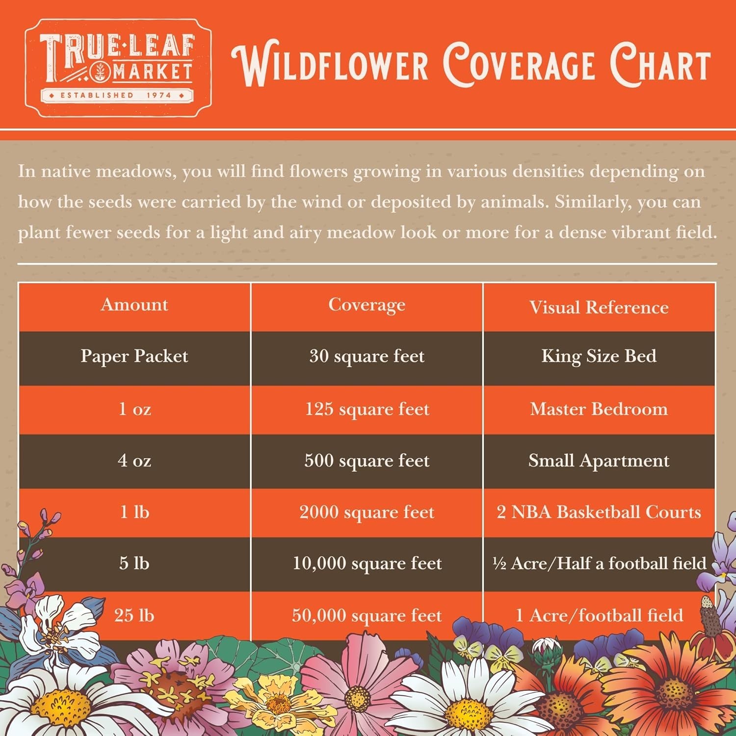 80,000+ Bulk Wildflower Seeds – Bee Friendly Non-GMO Mix for Vibrant Gardens