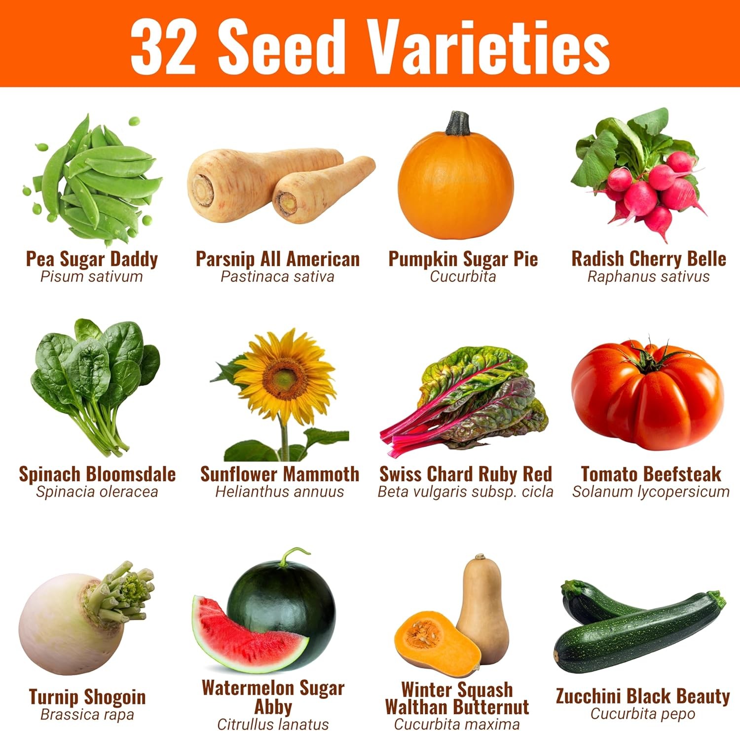 Open Seed Vault |15,000 Heirloom Seeds | 32 Seed Types | Survival Seeds | 2026 S