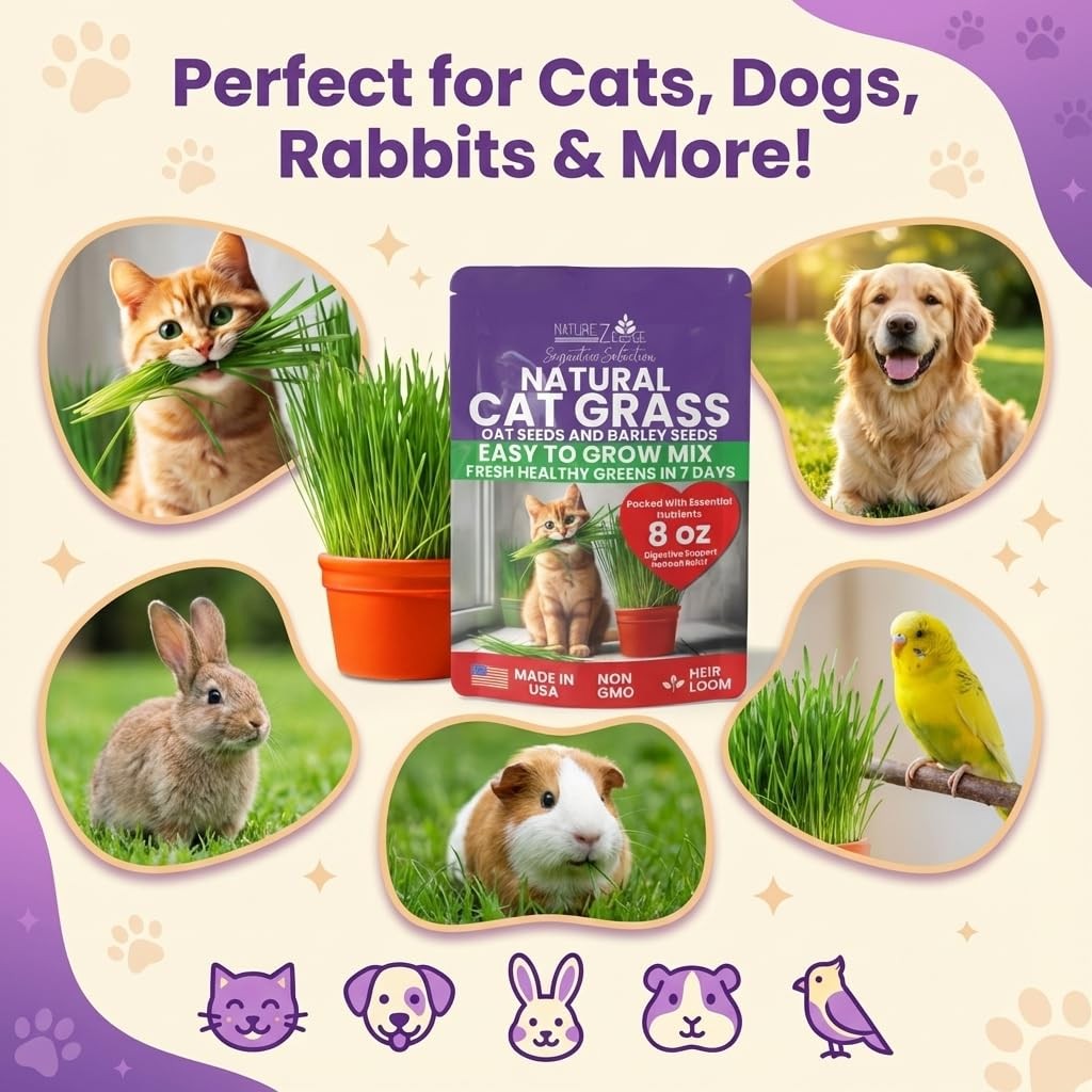 Premium Cat Grass Seeds NonGMO Oat & Barley for Indoor Cats 1/2 lb