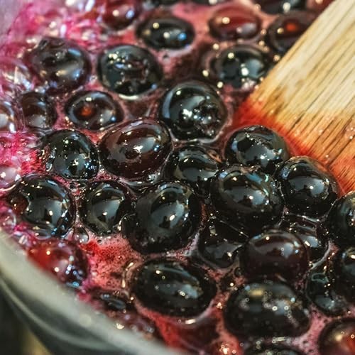 CarpetC 200+ Blueberry Seeds for Planting, Perennial Fruit Bush Vaccinium