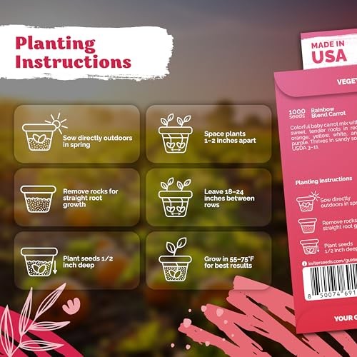 1,000 Rainbow Carrot Seeds Heirloom Mix Non-GMO Vegetable Garden Planting Seeds
