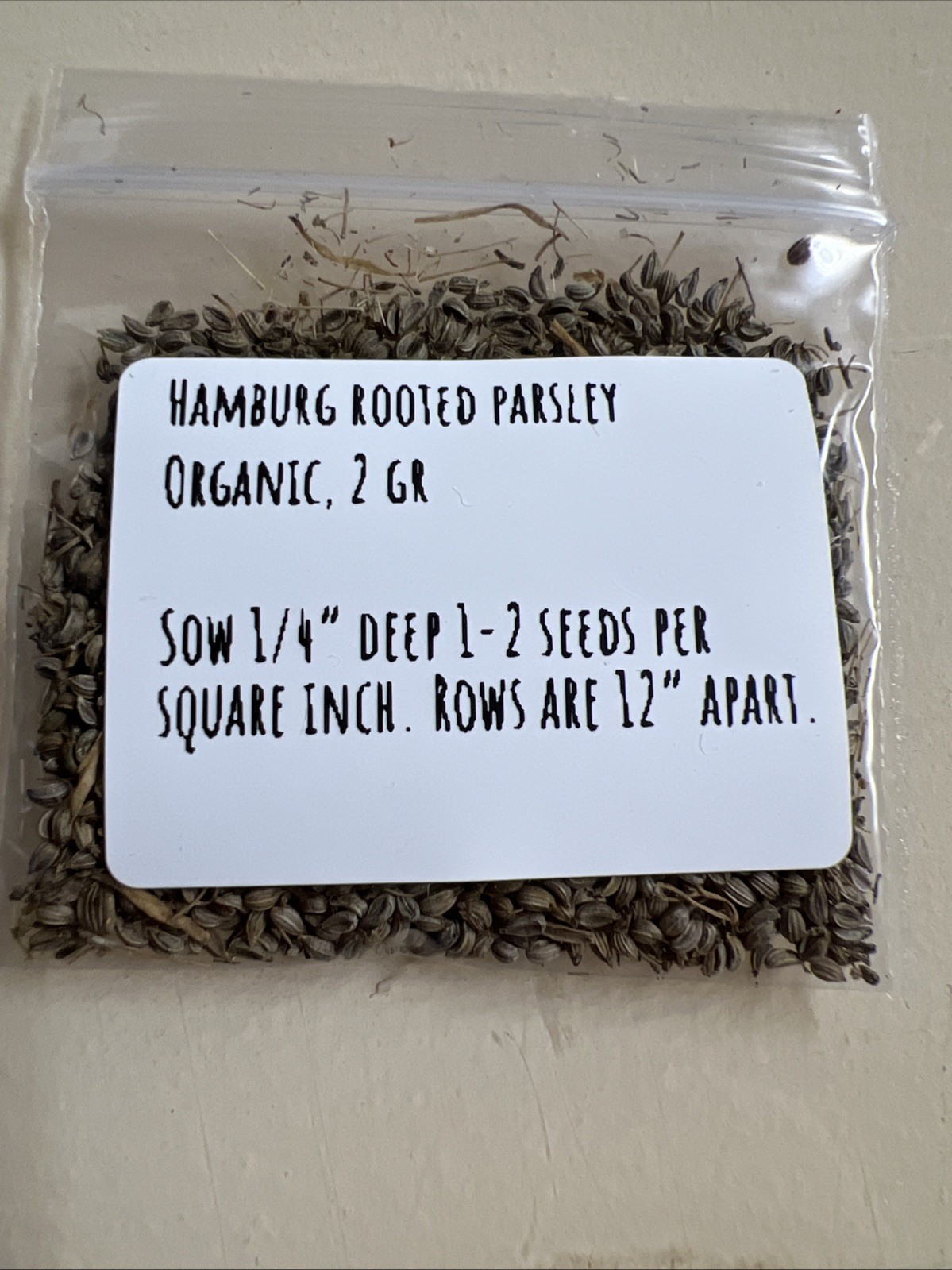 Hamburg Root Parsley Seeds. 300+ seeds, Organically grown in North Idaho.
