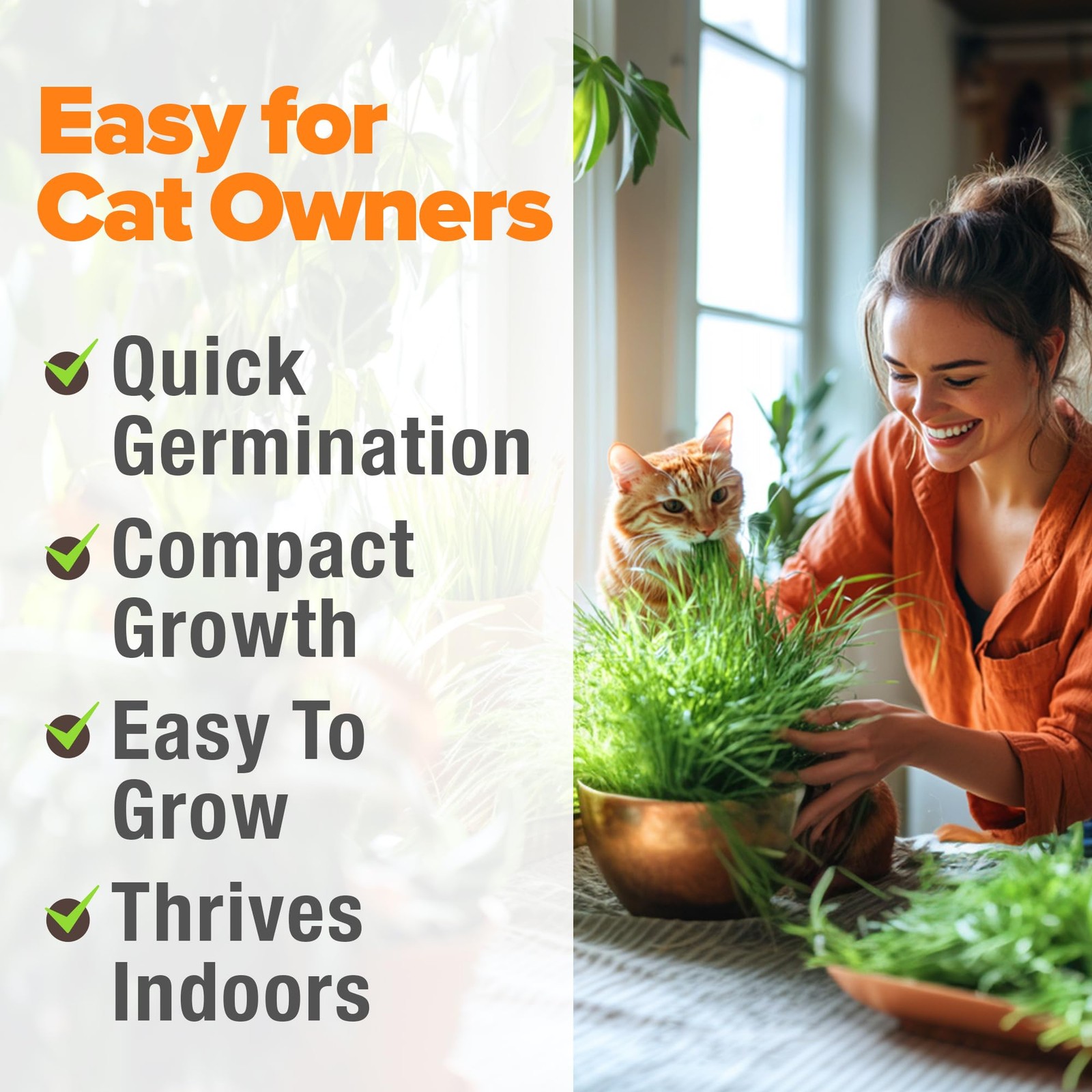 Non GMO 1 Pound Cat Grass 12,700+ Seeds for Cat & Kittens Oat & Barley Mix 10…