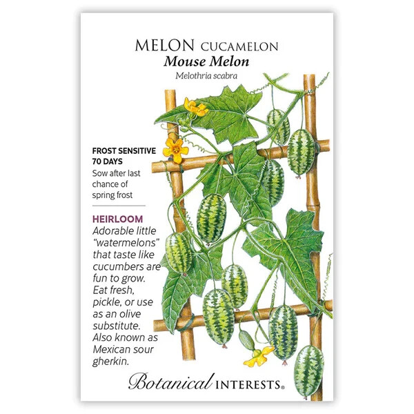 Botanical Interests Mouse Melon Cucamelon Seeds Annual Vegetable Seed Packet