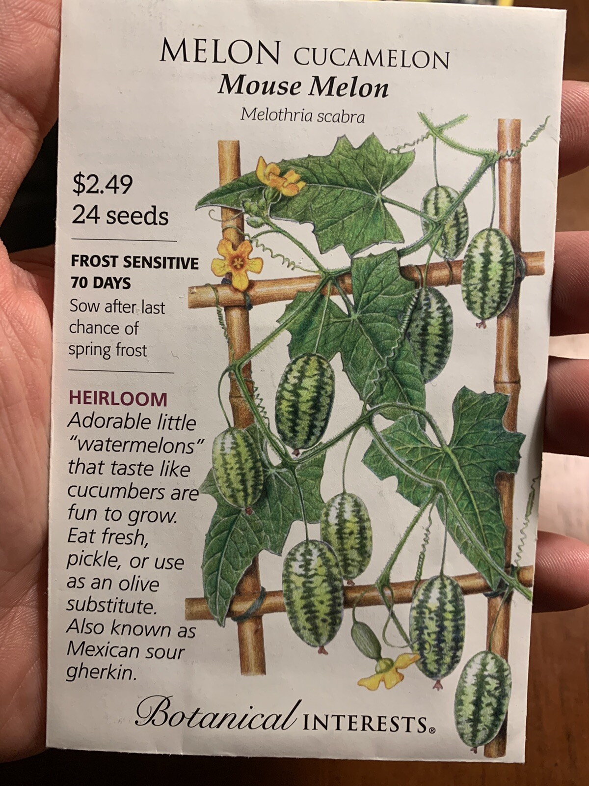 Botanical Interests Mouse Melon Cucamelon Seeds Annual Vegetable Seed Packet