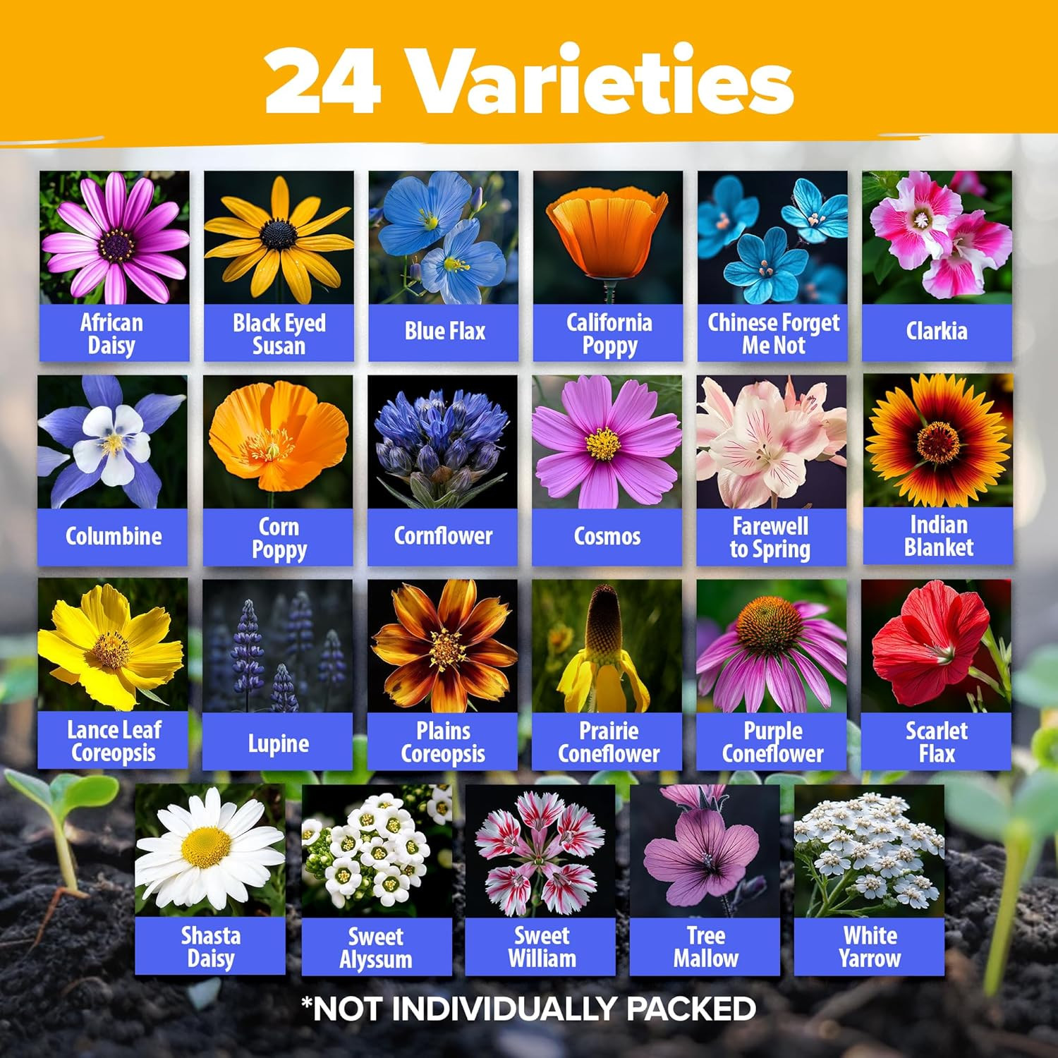 Wildflower Seeds Bulk Mix | 90,000+ Non-Gmo Perennial Flower Seed for Outdoor Pl