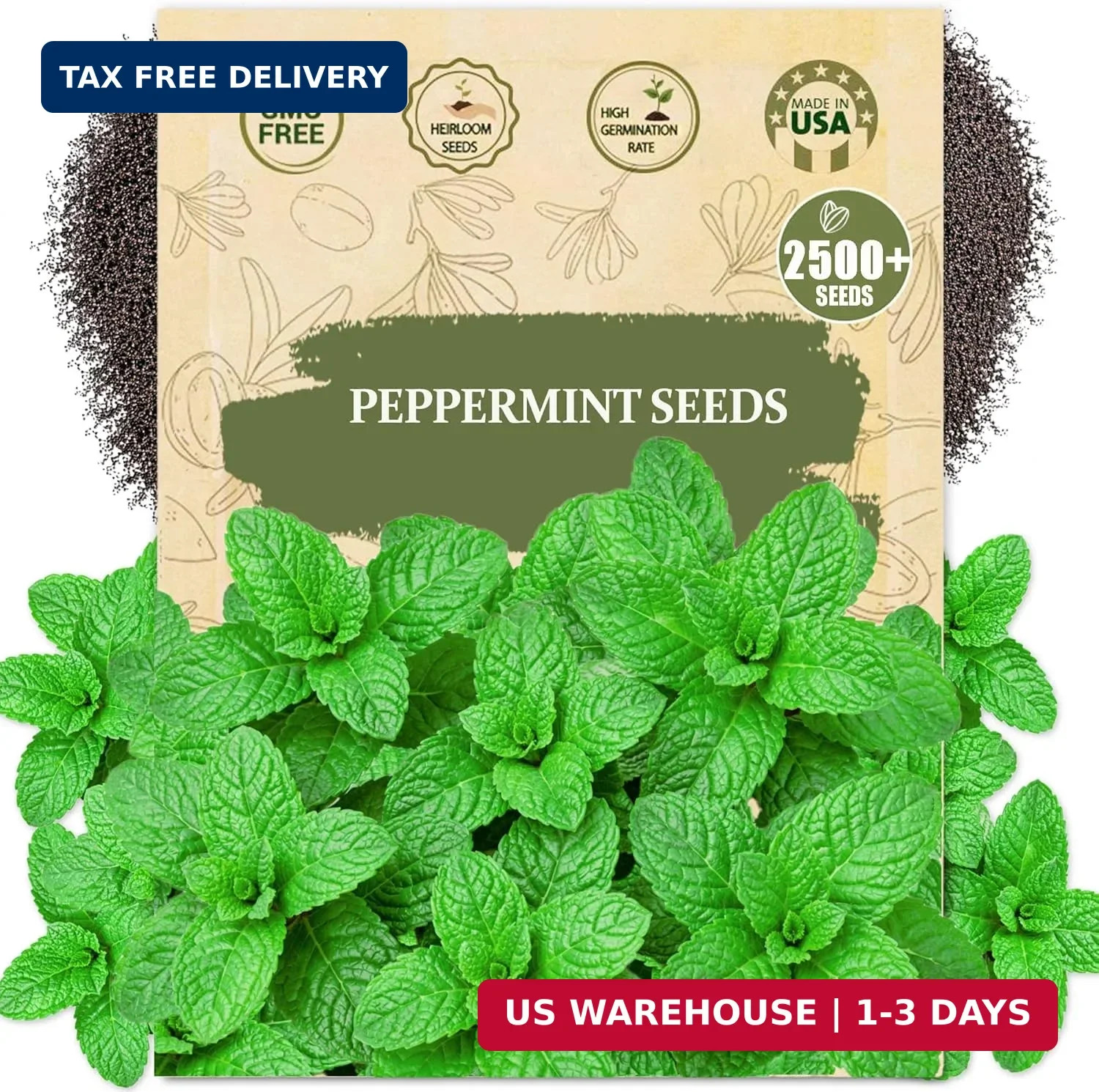 Premium Peppermint Seeds for Planting (Mentha x piperita) – 2500+ Heirloom, Non