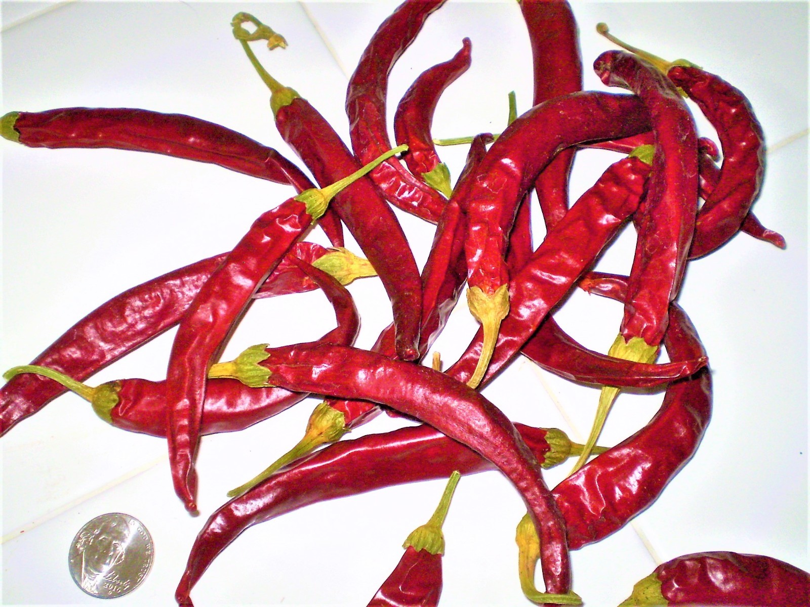 Mexican Finger Hots red chili pepper seeds NON GMO heirloom open pollinated