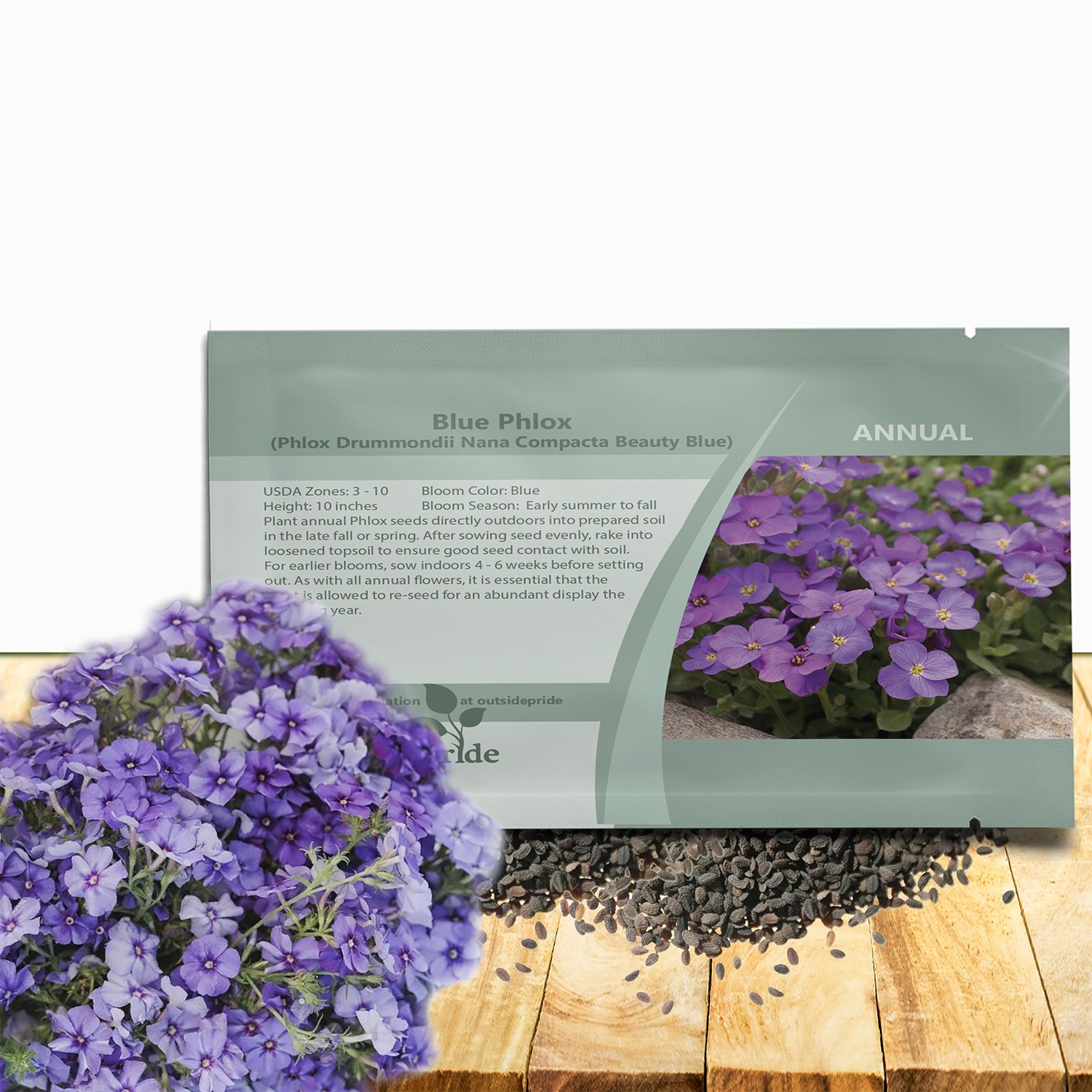 2000 Seeds Phlox Seeds – Drummond’s Phlox Blue Flower Seed