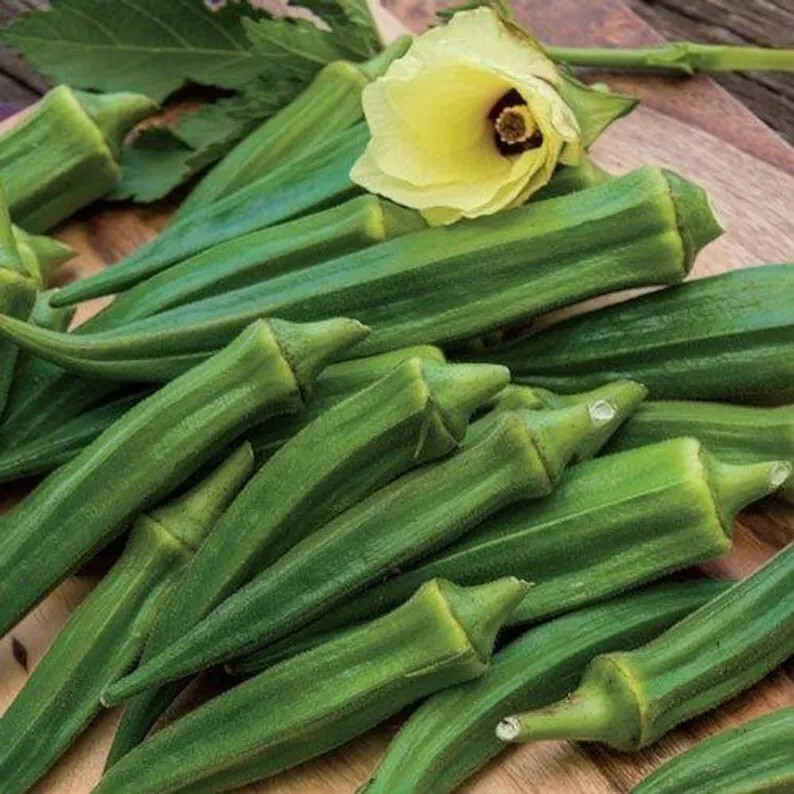 50+ Emerald Okra Seeds – HEIRLOOM – NON GMO — FRESH