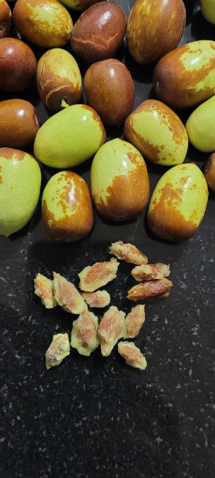 12 seeds JUJUBE chinese dates seeds tasty ORGANIC ,fresh seeds Only