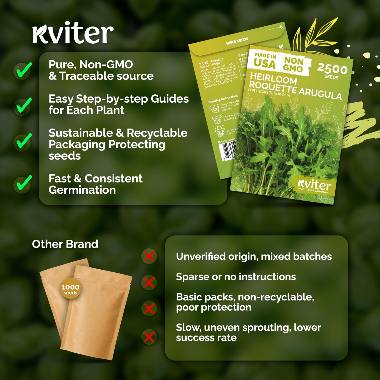 KVITER 2500 Roquette Arugula Seeds (Diplotaxis tenuifolia)