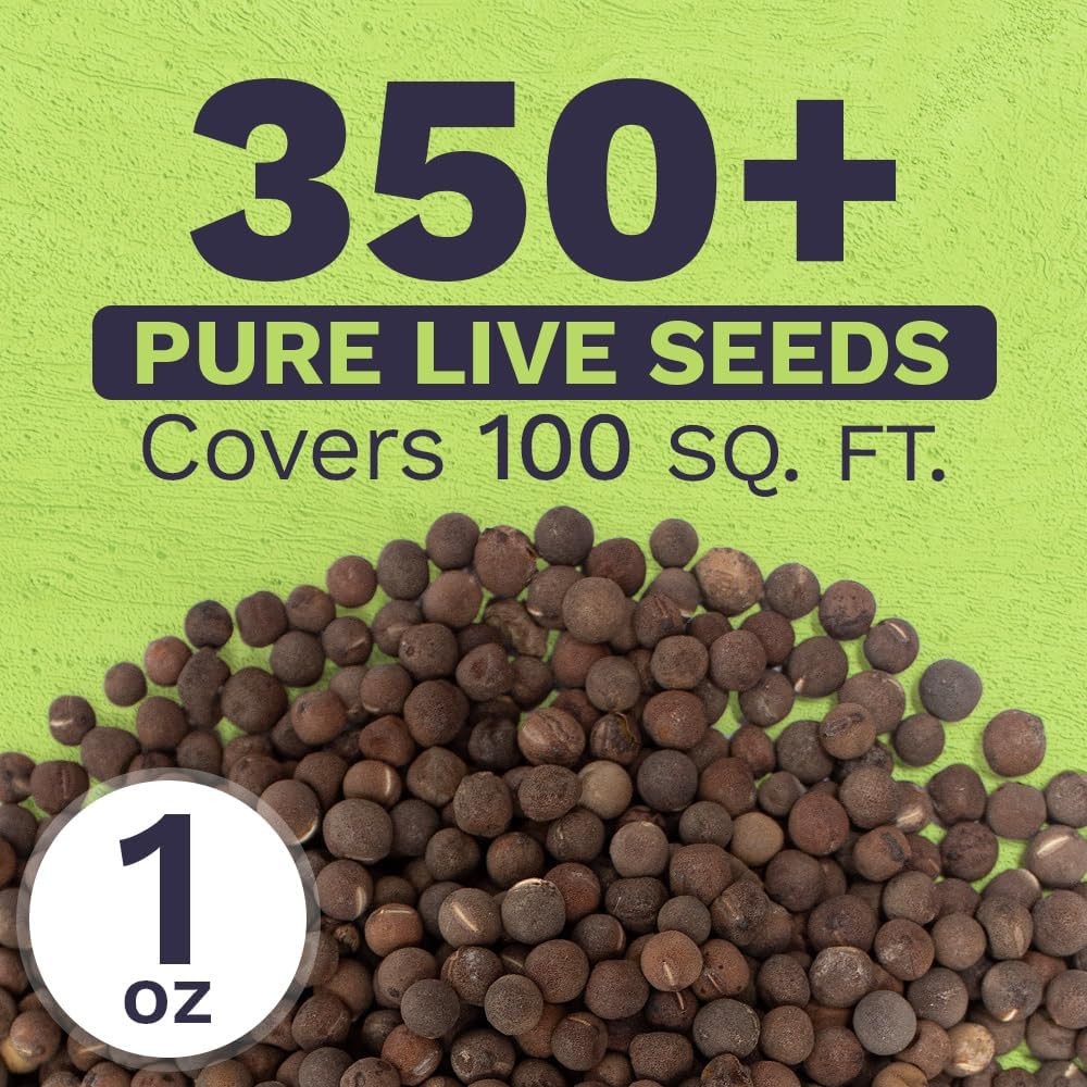 Sweet Pea Seeds Heirloom Mix – Bulk 1 Ounce Packet – over 350 Seeds – Large Frag