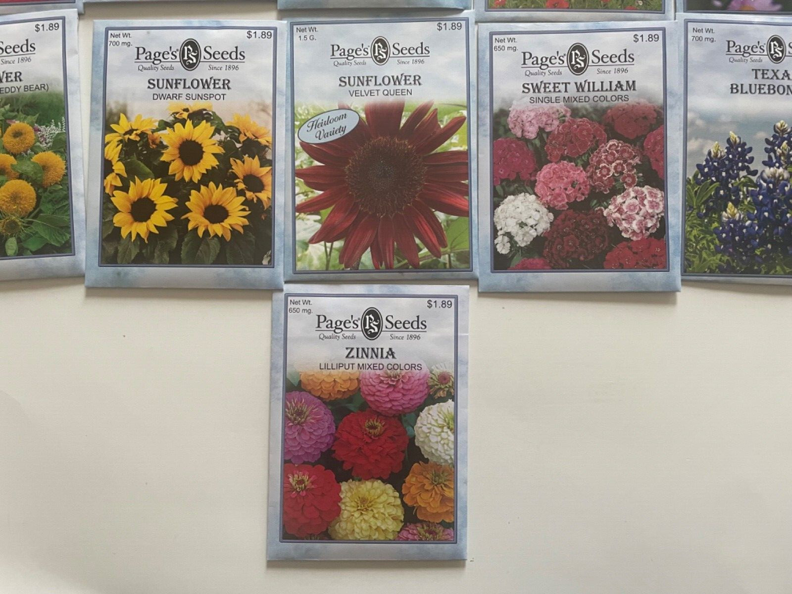 22 Packs Types – Flower Garden Seeds Heirloom Perennial Non-GMO 2022 USA Seeds
