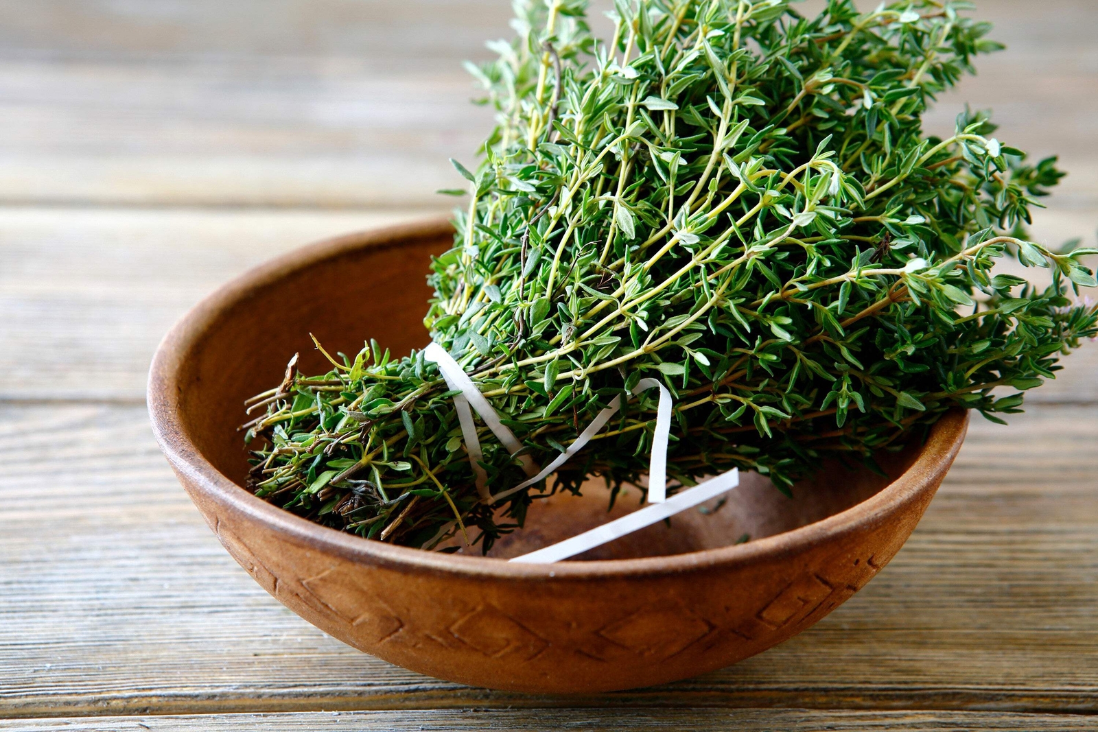 1000 THYME Common English German French Garden Winter Thymus Vulgaris Herb Seeds