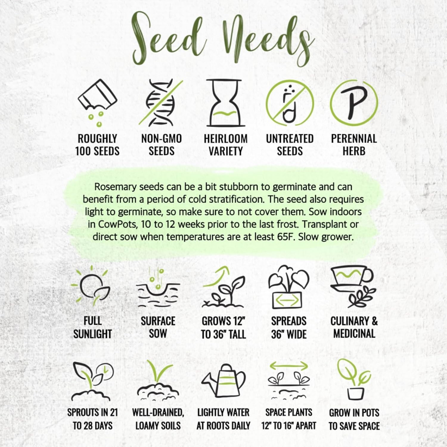 Heirloom Rosemary Planting Seeds – Non-GMO Culinary Herb for Your Kitchen Garden