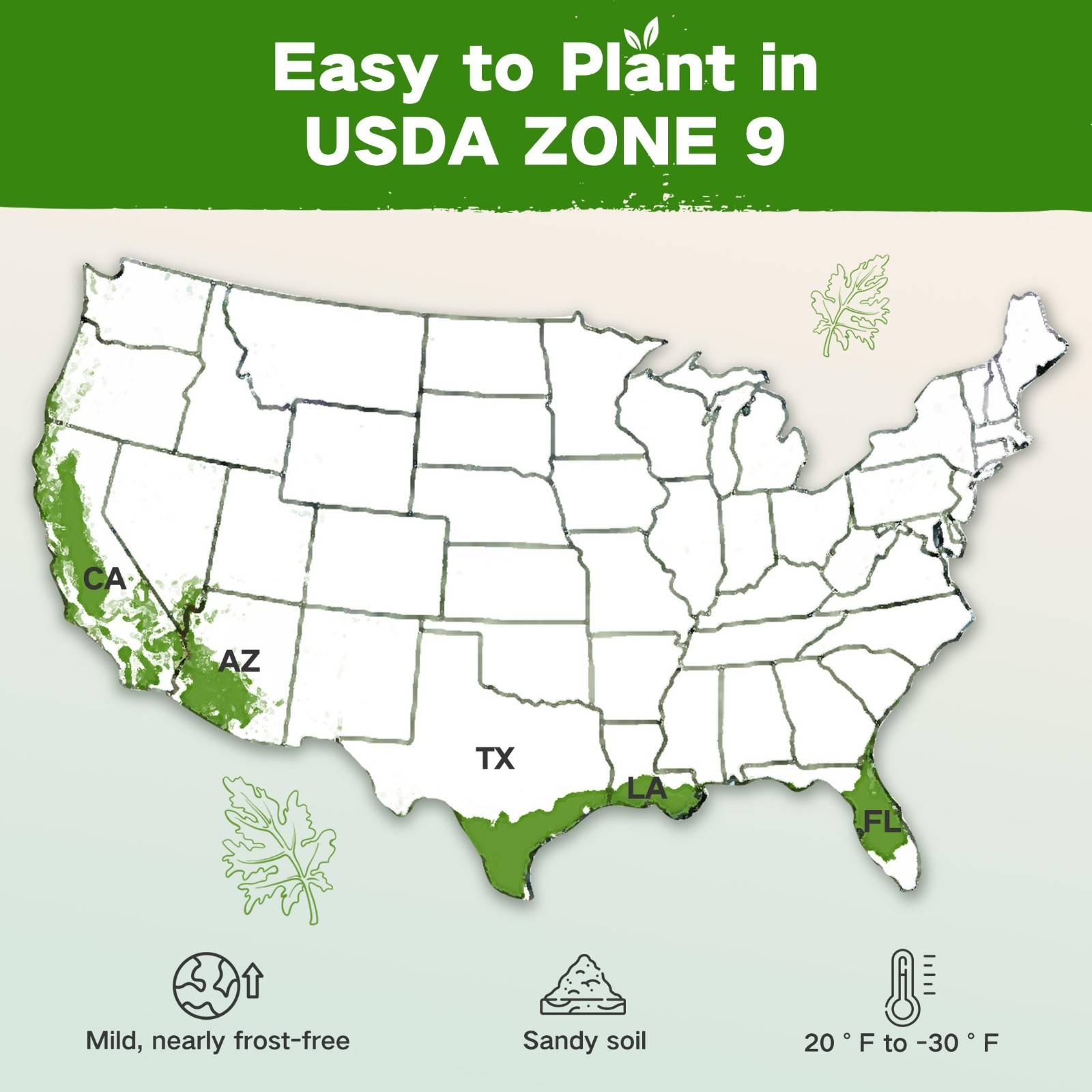 32 Varieties Non-GMO Heirloom Seed Bank for Zone 9 – Gardening Gifts for All