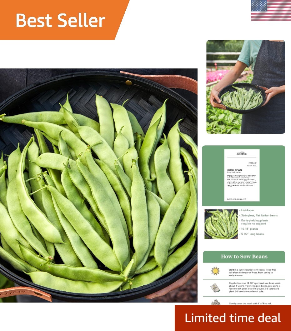 Early Italian Bush Bean Seeds 2 Oz – Perfect for Small Spaces & Containers