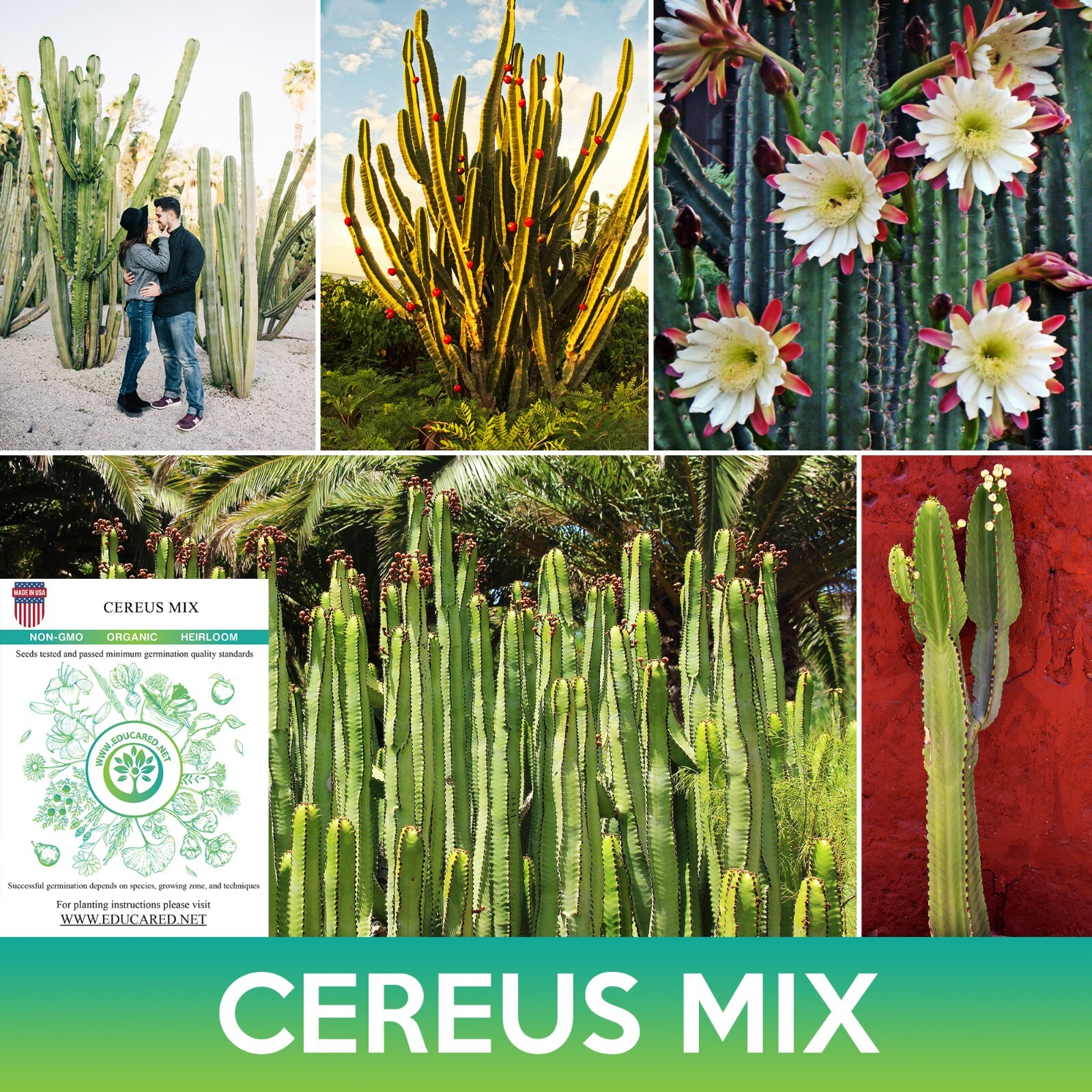 Cereus Cactus Mix Seeds