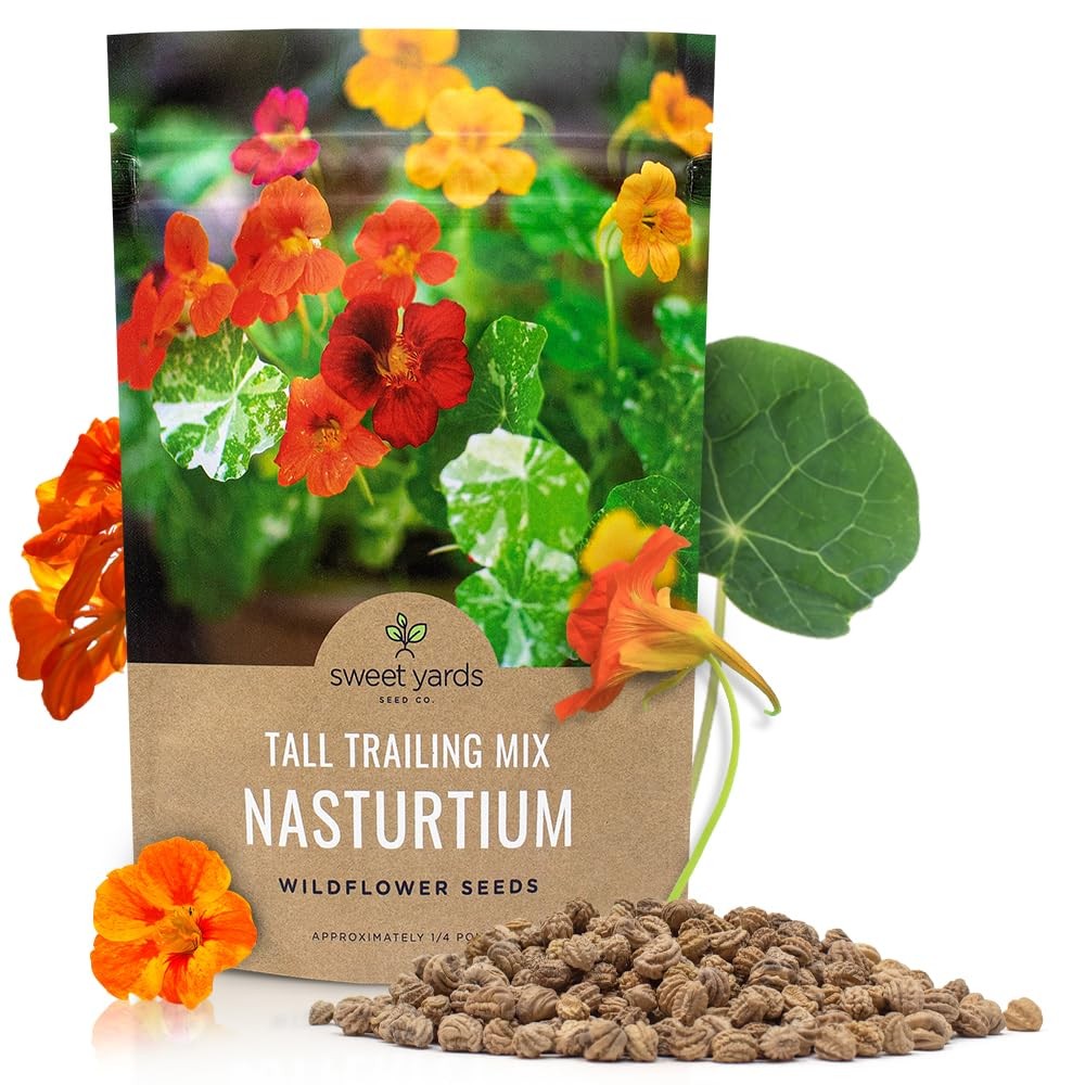 Mixed Colors Nasturtium Seeds, Bulk 1/4 Pound Bag, Over 900 Non-GMO Seeds
