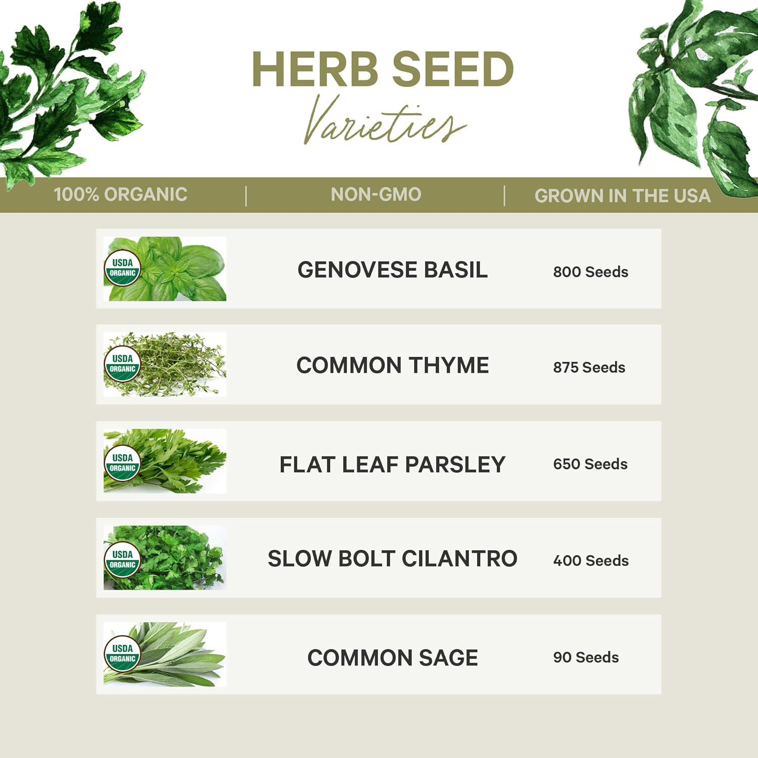 5 Certified Organic Herb Seeds Variety Pack (4X More) 2,800+ Non GMO Seeds for P