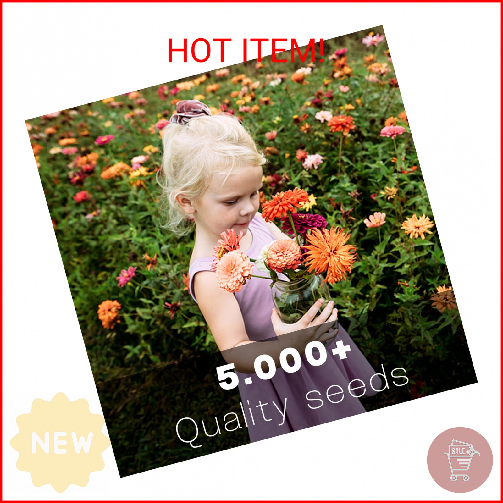Zinnia Seeds Bulk 5,000+ | Outdoor Flower for Planting |Giant Zinnia Seeds for 2