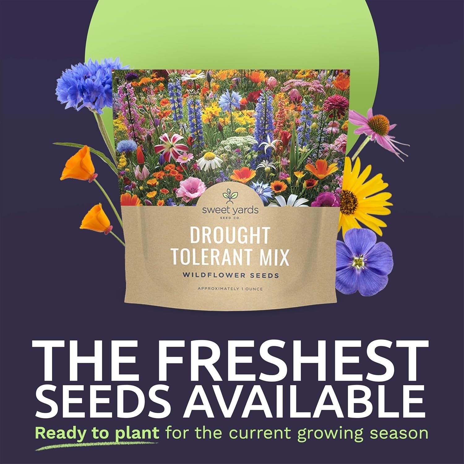 Extra Large Wildflowers Mix – 7,500 Non-GMO Seeds for Vibrant Gardens