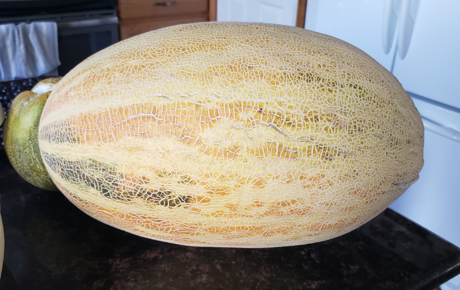 30-Organic seeds large & sweet/Tashkent melon, very juice from Russia/US Seller.