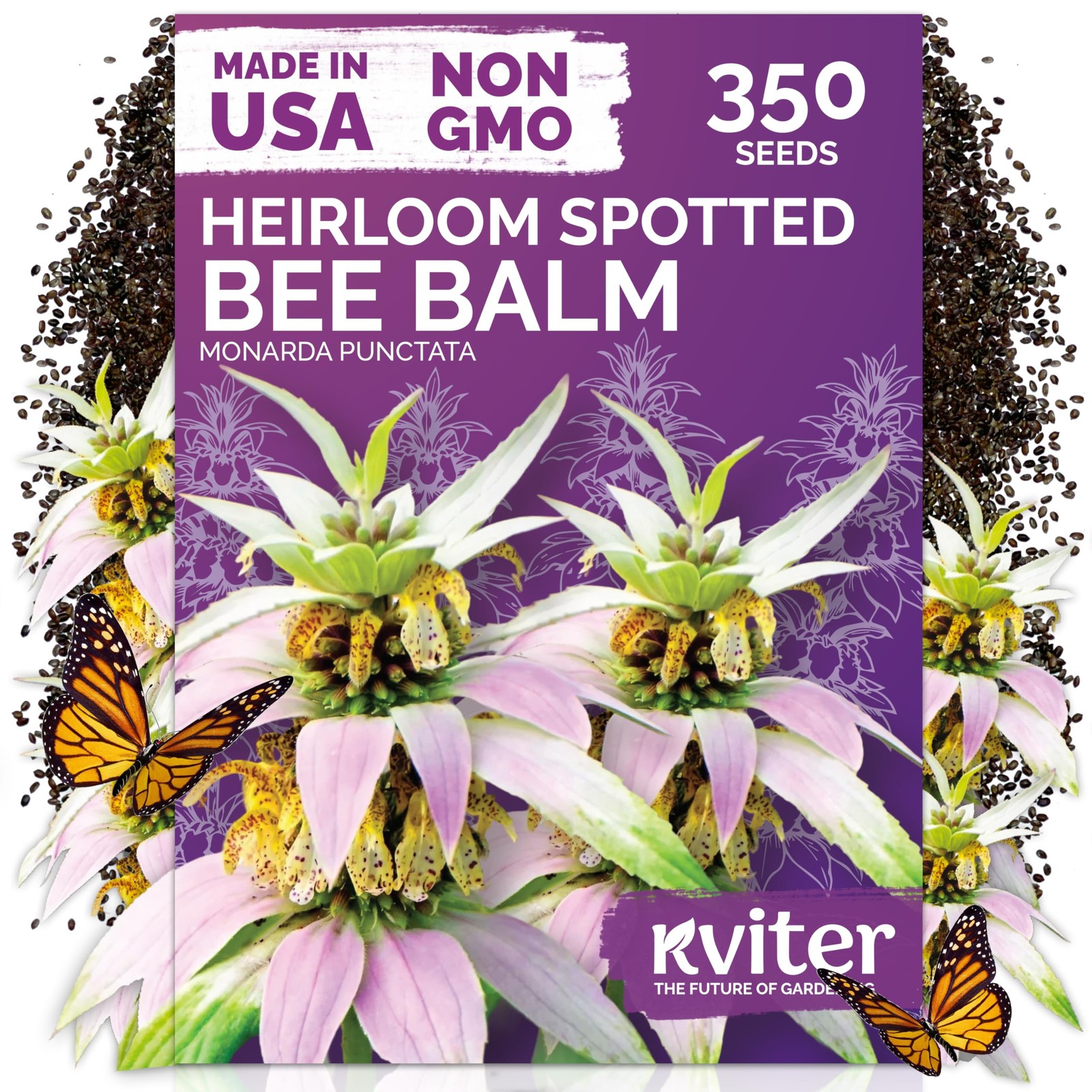 KVITER 350 Spotted Bee Balm Seeds (Monarda Punctata)