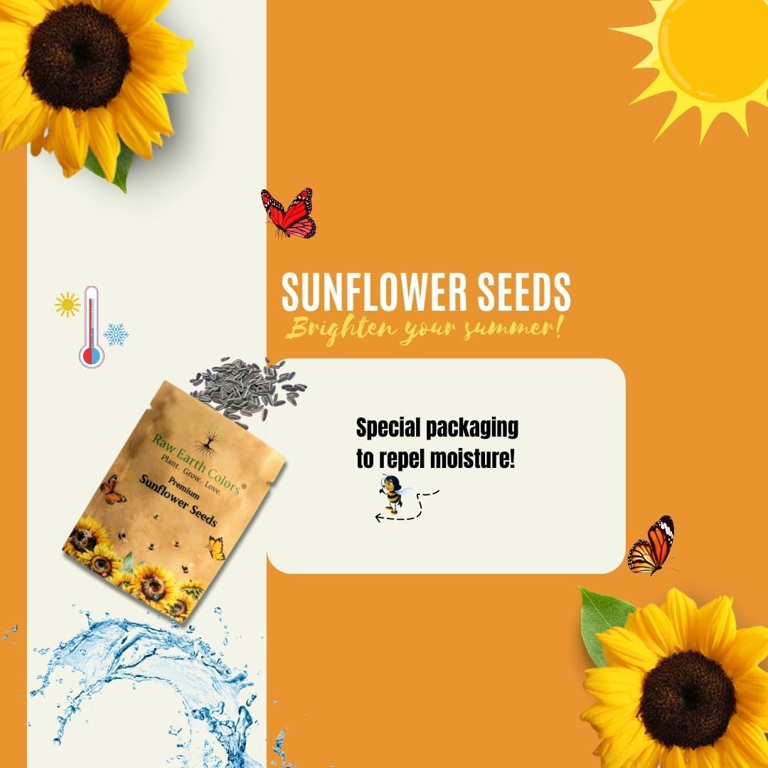 Giant Sunflower Seeds Packet – Grow 8-12 Ft Tall Flowers, Attract Pollinators