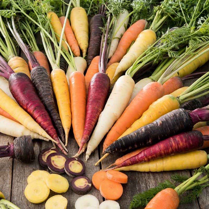 Rainbow Carrot Blend Mix, Seeds, Colorful, NON-GMO, Beta Carotene, Vitamin A