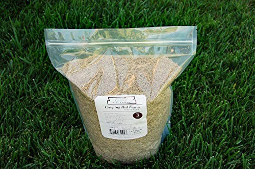 Premium Creeping Red Fescue Grass Seed – 3lb, Oregon Grown, No Fillers, Shade To