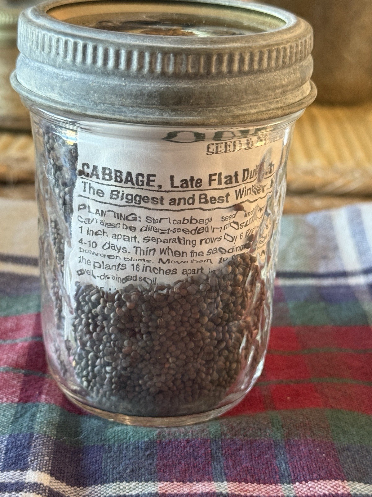 Gurnsey’s Seeds In Kerr Mason Jar – Late Flat Dutch Cabbage 4262