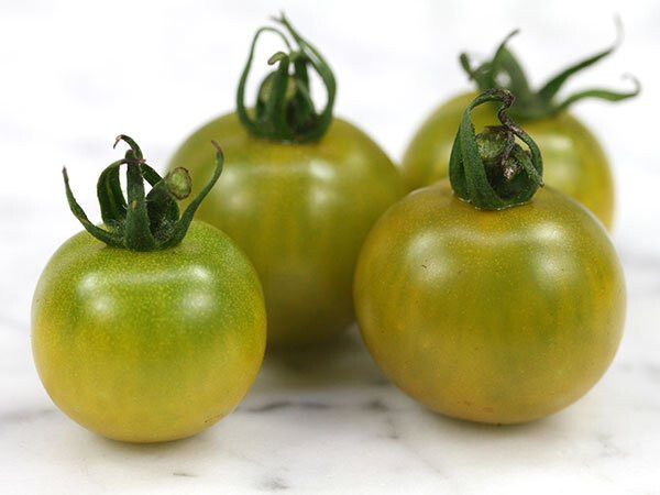 15 FAT FROG MICRO DWARF TOMATO SEEDS ~ AEROGARDEN ~ 2026 ~ NON-GMO