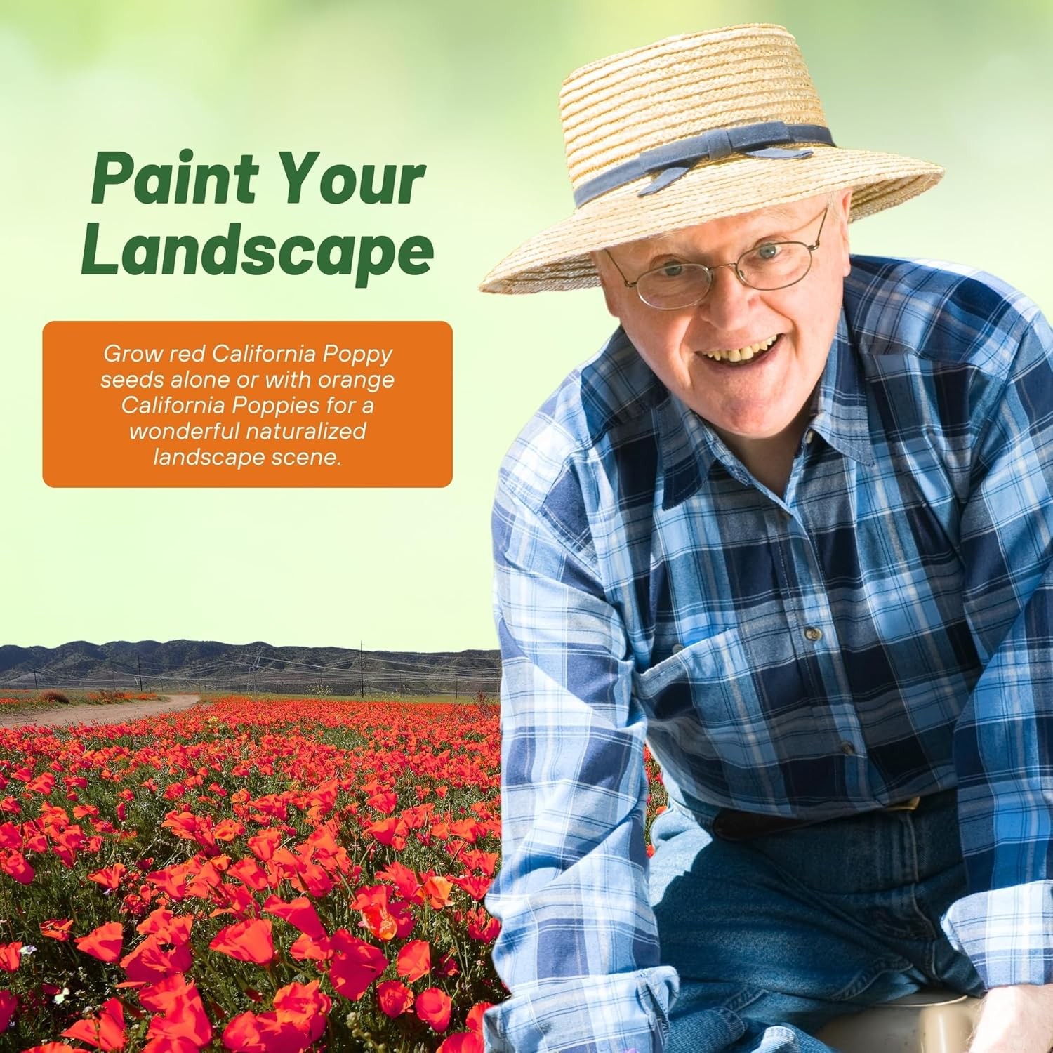 5000 Seeds Red California Poppy Flower Seed For Planting | Seeds For Xeriscaping